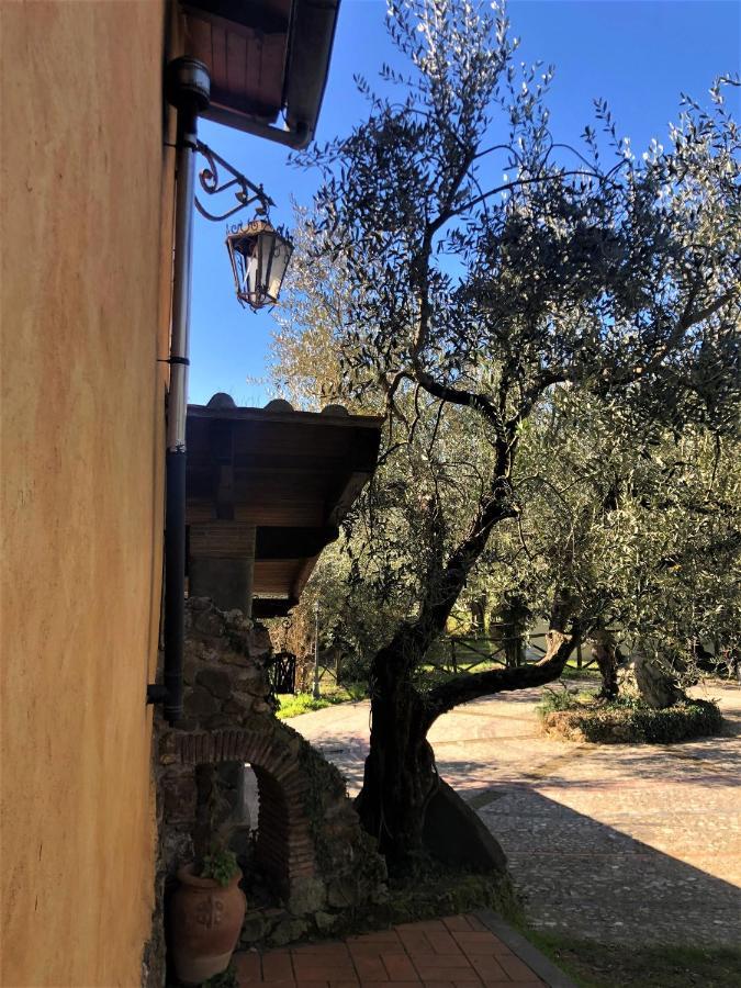 Casale L'Antica Mola Βίλα Castel Madama Εξωτερικό φωτογραφία