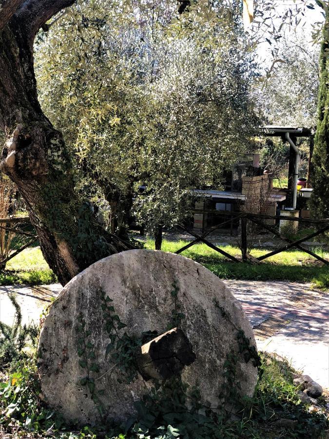Casale L'Antica Mola Βίλα Castel Madama Εξωτερικό φωτογραφία