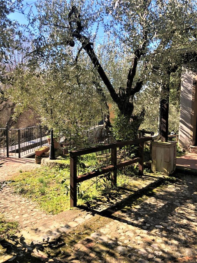 Casale L'Antica Mola Βίλα Castel Madama Εξωτερικό φωτογραφία